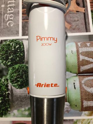 Frullatore ad immersione