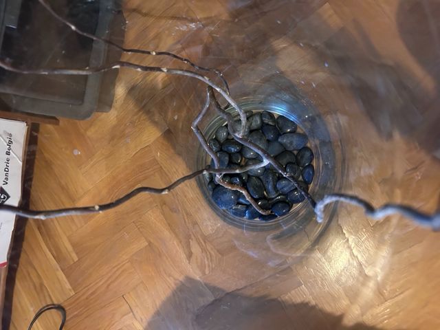 Vaso cristallo ART DESIGN forma cilindrica 80x30