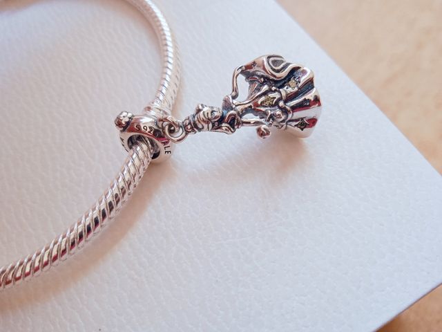 Charm Baile Bella Disney