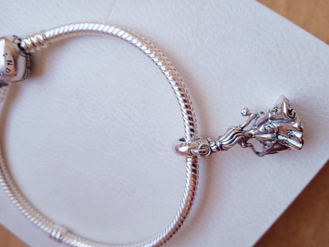 Charm Baile Bella Disney