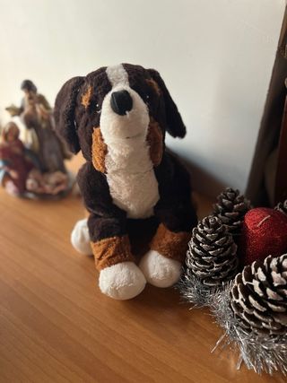 peluche 