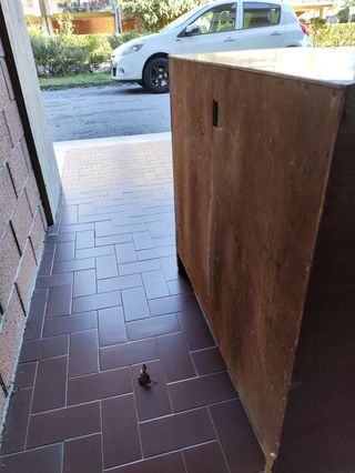 Ventilatore a colonna 