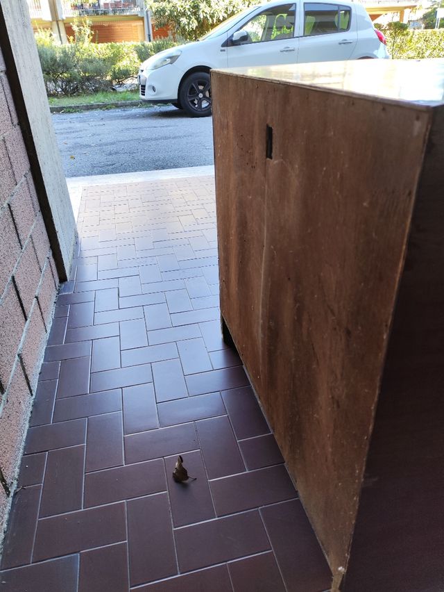 Ventilatore a colonna