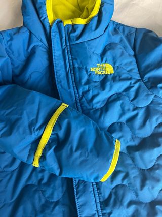 Buzo invierno nieve The North Face 18-24M