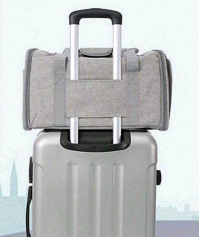 Bolso para  mascotas