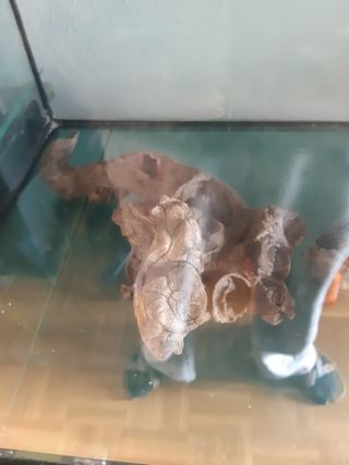 troncos acuario