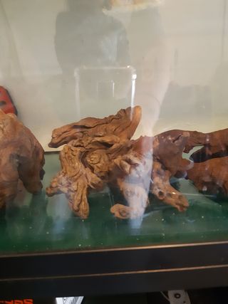 troncos acuario