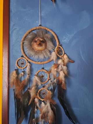 Acchiappasogni - aquila