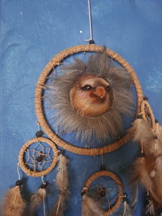 Acchiappasogni - aquila