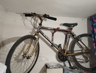 Bicicleta de montaña