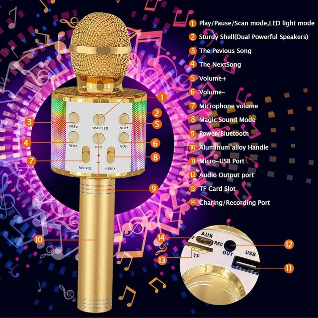 Microfono Karaoke A ESTRENAR!!!