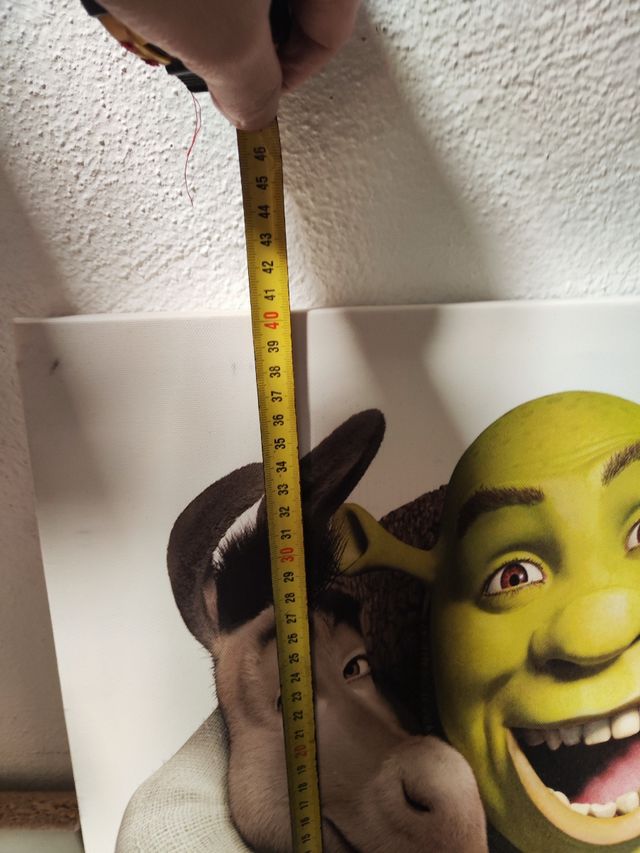 Shrek Quadro