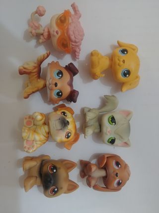 Littlest pet shop