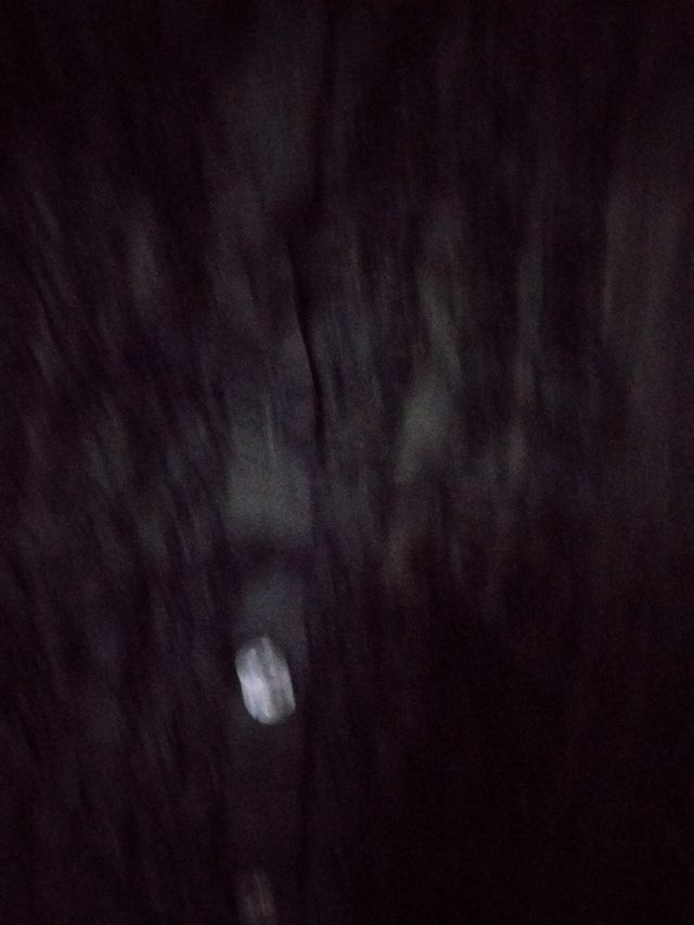 Alexander mcqueen vestido negro 