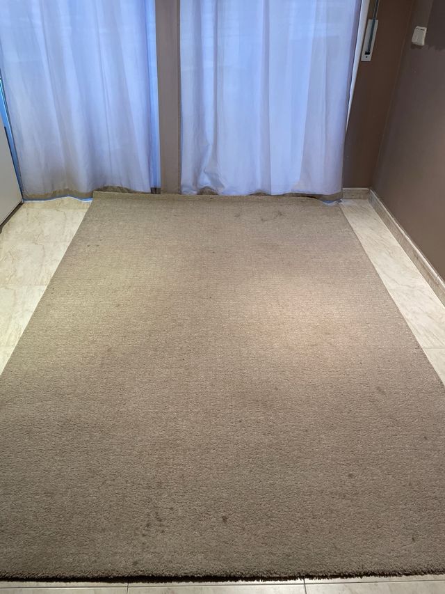 alfombra LANGSTED IKEA 170/240 10 kg