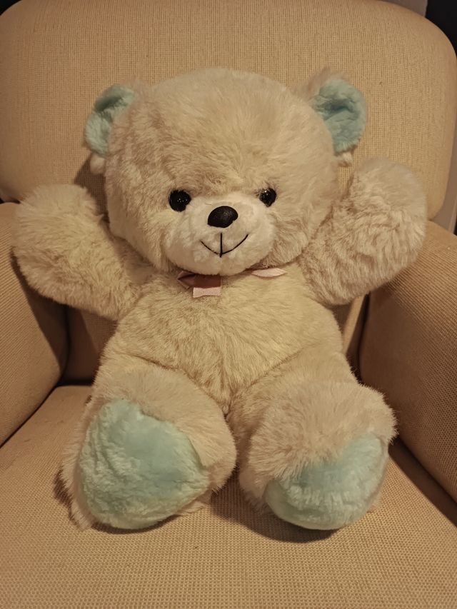 Oso peluche