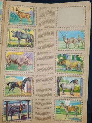 Album Animales de todo el mundo. Años 50