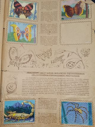 Album Animales de todo el mundo. Años 50