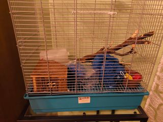 JAULA ARDILLA HAMSTER ETC.