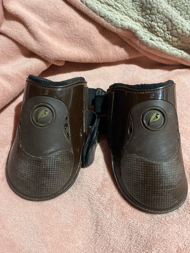 protectores traseros caballo