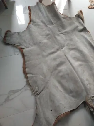 Alfombra