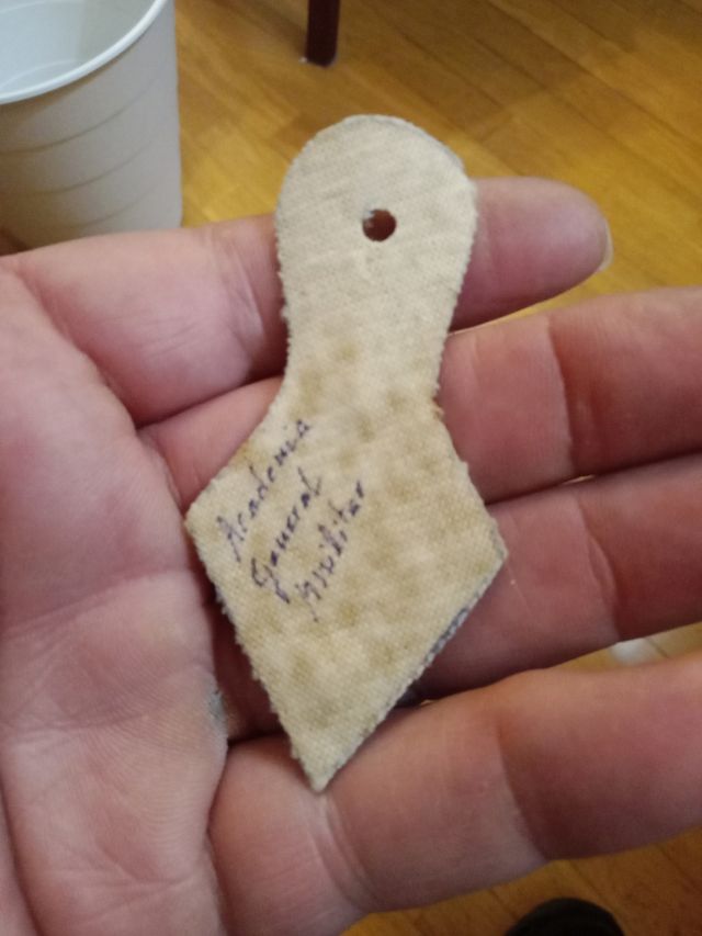 INSIGNIA PEPITO ACADEMIA MILITAR