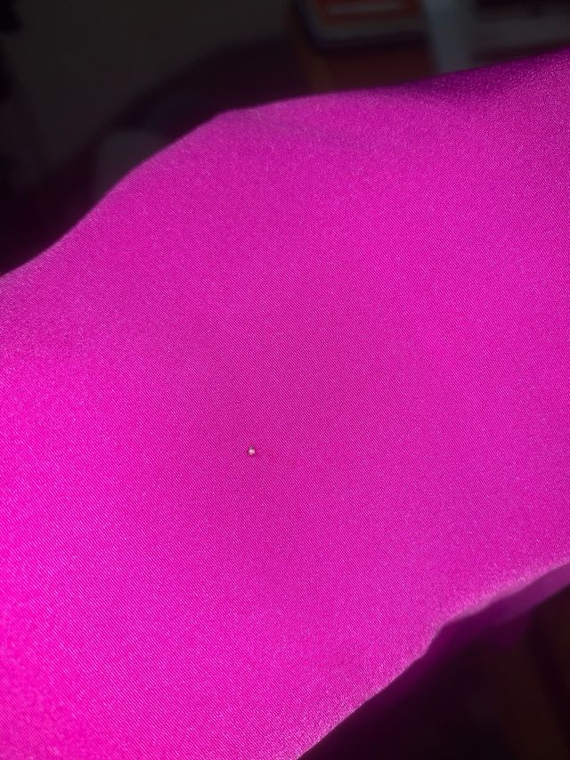 Mono lila/buganvilla de fiesta