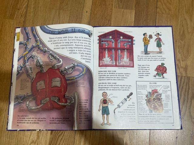 Llibre del ossos i altres parts del cos per a nens