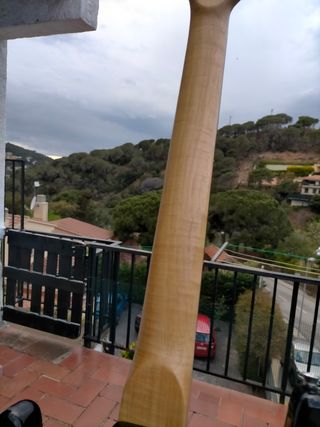 Guitarra Stratocaster