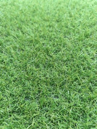 Oferta Césped artificial 20mm