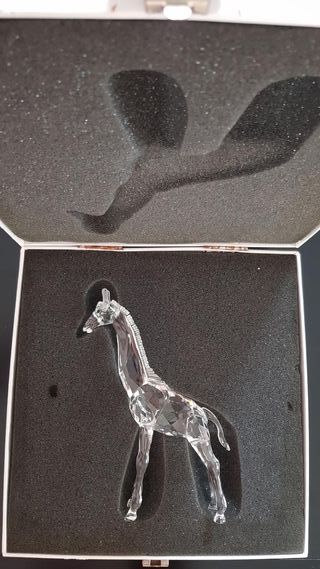 swarovski "jirafa"