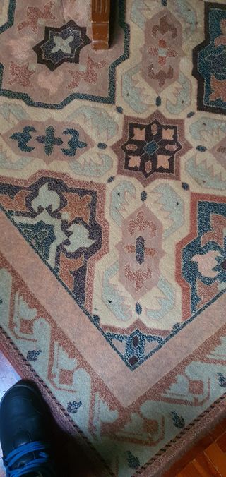 Alfombra salon buena