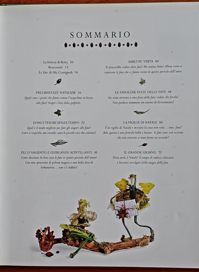 Libro per bimba - Natale con le fate