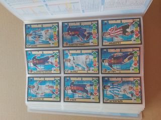 Álbum Adrenalyn XL 2012-13