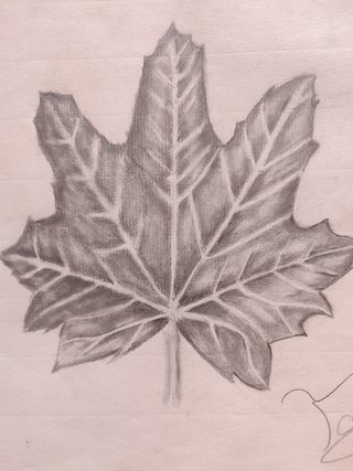 Clases de artes Plásticas