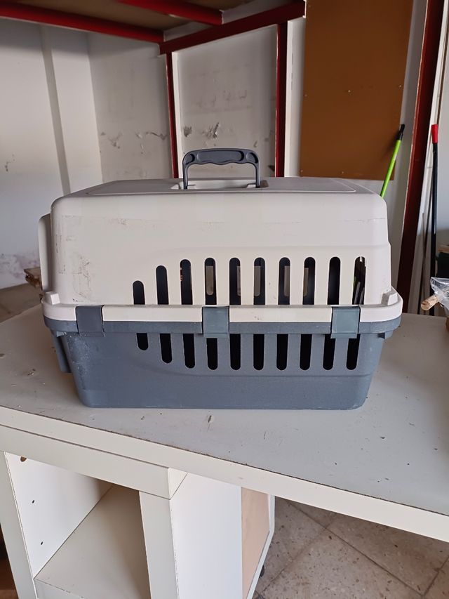 Transportín animales