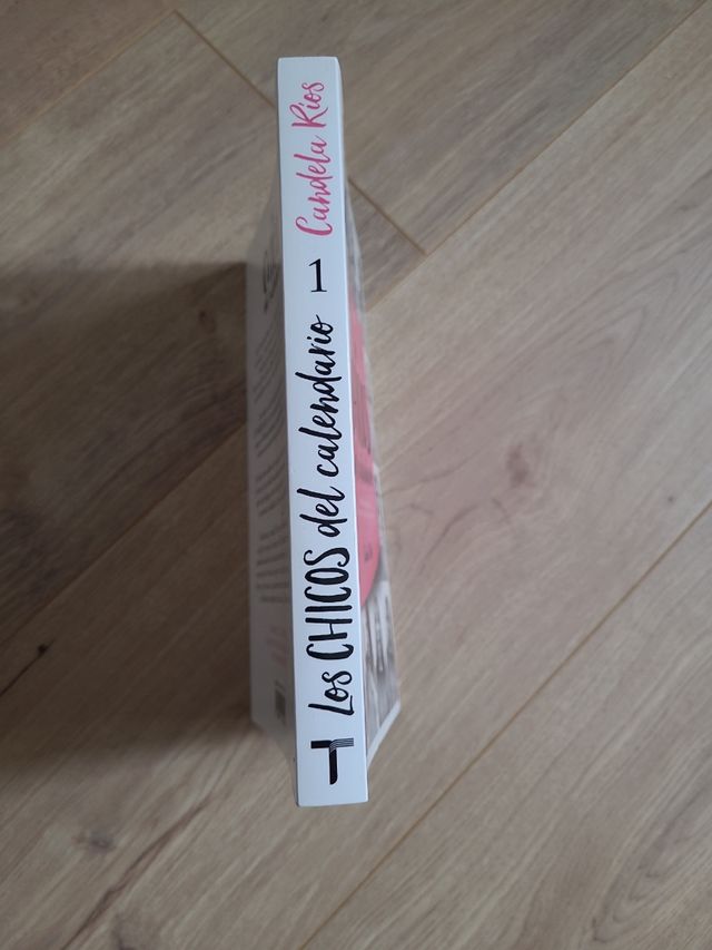 Libro Los chicos del calendario