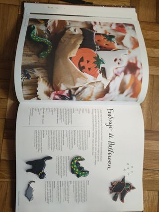 Libro decoración galletas