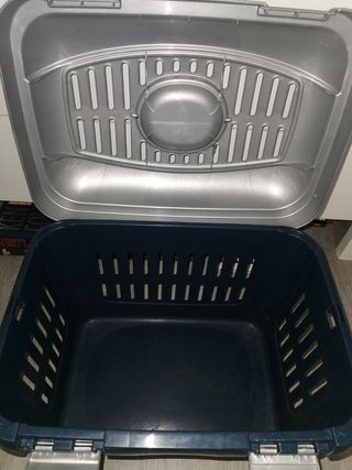 Transporting perro/gato