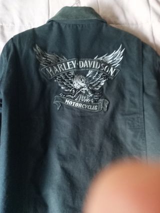 Cazadora Harley Davidson nueva