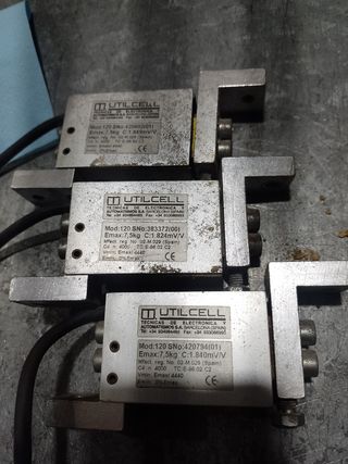 Células pesadoras 