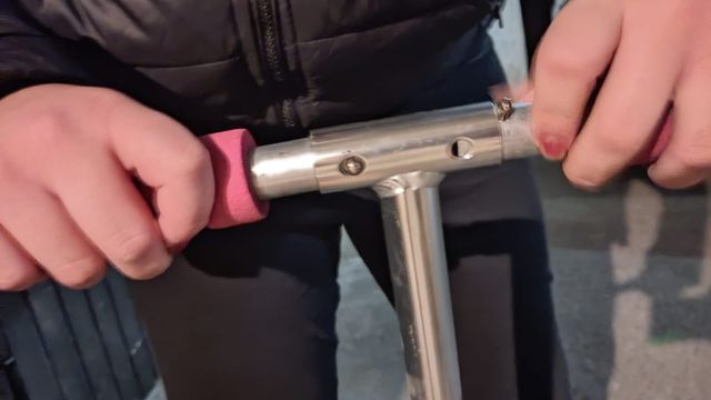 Monopattino ZhuZhu Pets