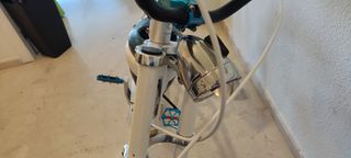 Bicicleta schwinn hornet