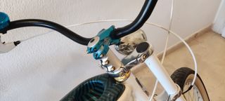 Bicicleta schwinn hornet