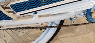 Bicicleta schwinn hornet