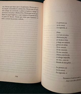 libro. El tiempo mientras tanto de Carmen Amoraga