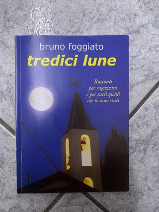 libro “tredici lune”