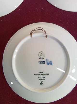 Collezione di piatti in ceramica Royal Copenhagen