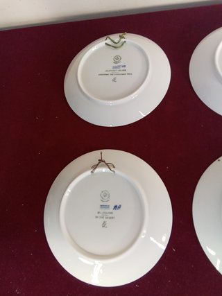 Collezione di piatti in ceramica Royal Copenhagen