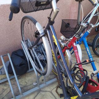Bicicleta paseo